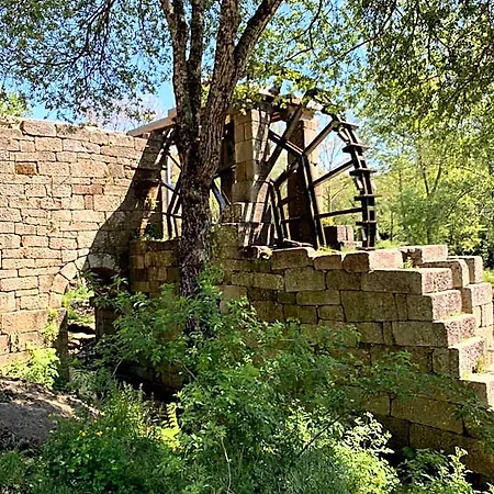 Gallas Pod House 홀리데이파크 부젤라